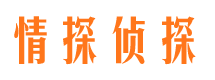 细河侦探公司